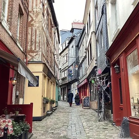 Apartment Elegant T2 